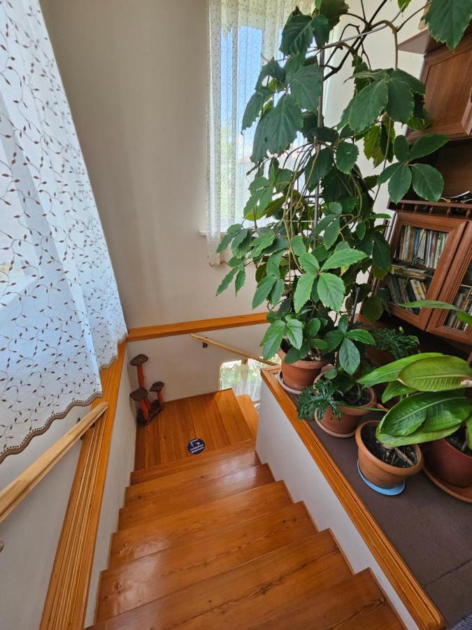 Tamari Guest House Telavi Eksteriør billede